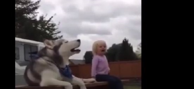 (VÍDEO) Increíble dueto entre una niña y un perro