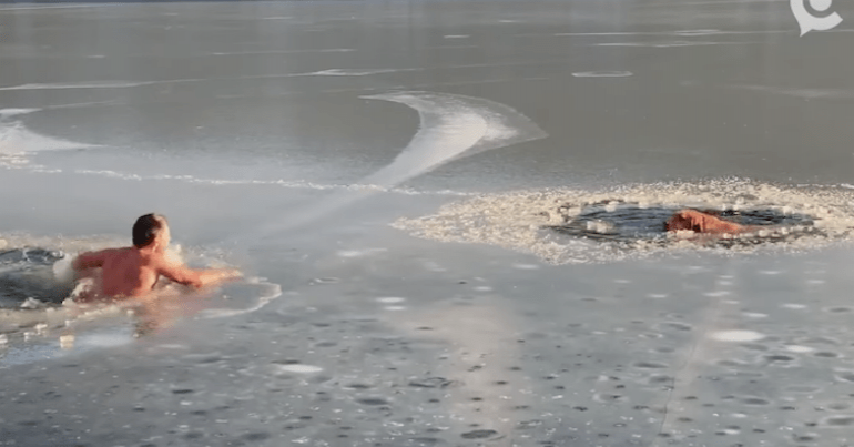 Vídeo: Hombre entra a lago congelado para salvar a dos perritos