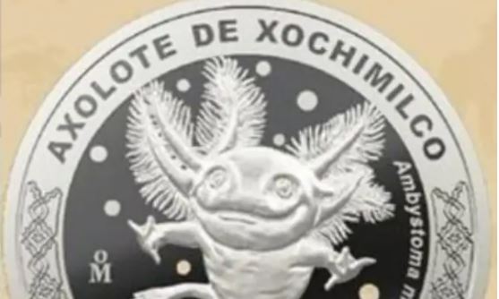 Lanzan moneda conmemorativa de ajolote y otros animales