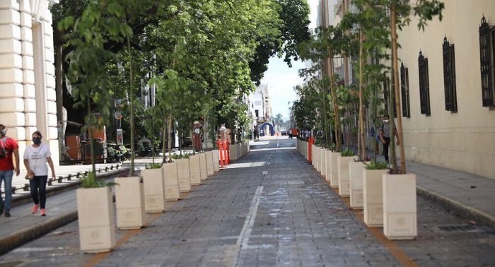 Inicia colocación de macetas en el Centro de Mérida para distanciar a la gente