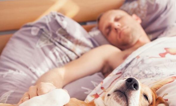 Estas son las ventajas y las desventajas de dormir con tu mascota