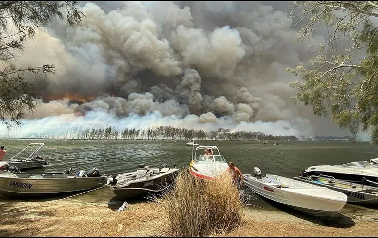 Por incendios, Australia decreta estado de emergencia por siete días