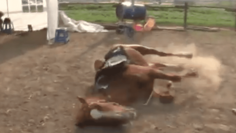 Caballo que se hace el muerto para no ser montado