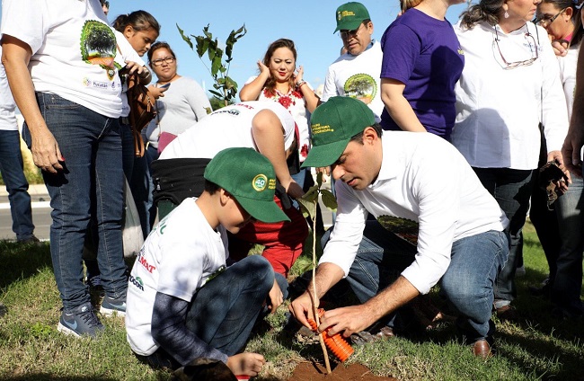 Promotora Residencial y Vila Dosal inician siembra de 3,000 árboles en Mérida