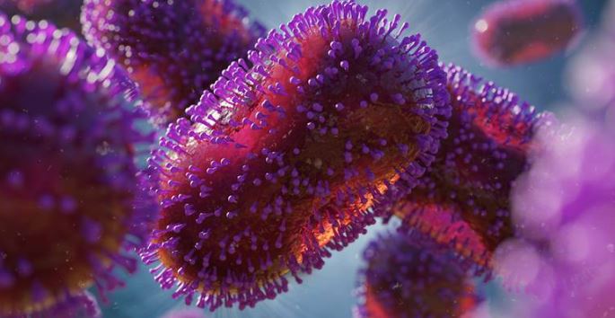 ¡Otra vez China! Detecta 35 casos de henipavirus, nuevo virus de origen animal