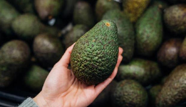 Michoacán: Investiga el robo de 40 toneladas de aguacate