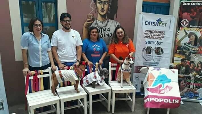 Anuncian festival para mascotas Terror en La Ciudad de Perpópolis