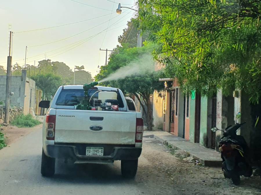 Anuncia SSY fumigación en el Fracc. Las Américas de Mérida