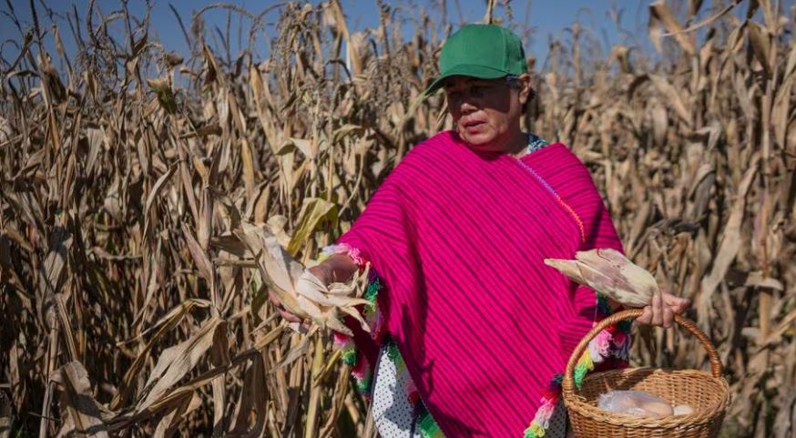 El crimen organizado pone precio a la agricultura mexicana