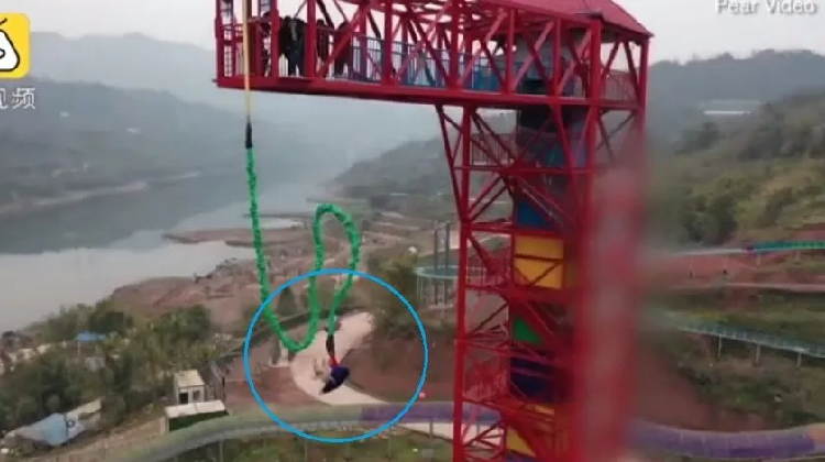 ¡Sin piedad! Cerdito es lanzado desde un bungee en China