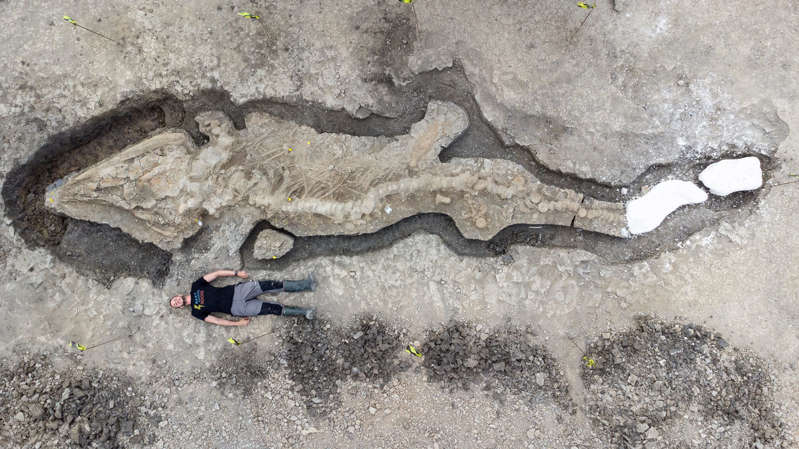 Hallan fósil gigante de un "dragón marino" de hace 180 millones de años