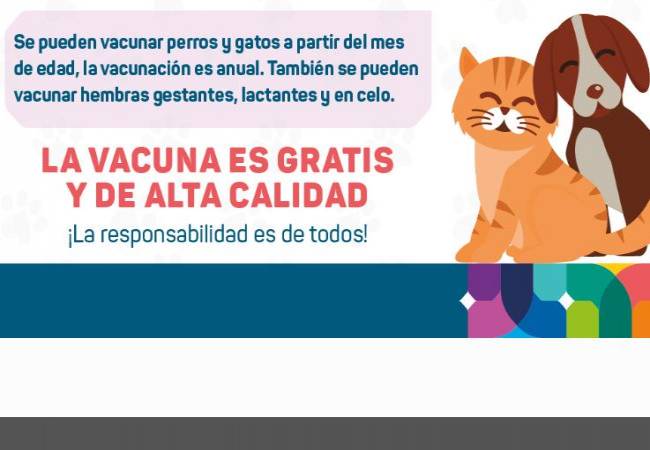 Clínicas dicen que no recibieron vacunas para la campaña antirrábica de la SSY