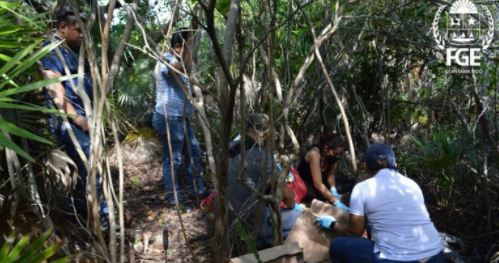 Desaparición de albañiles en Q. Roo, no es hecho aislado, CJNG lo hacía en Jalisco
