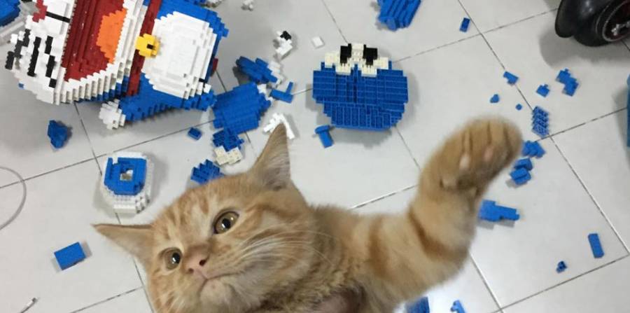 Hizo una escultura con más de 2.400 piezas y su gato la destruye