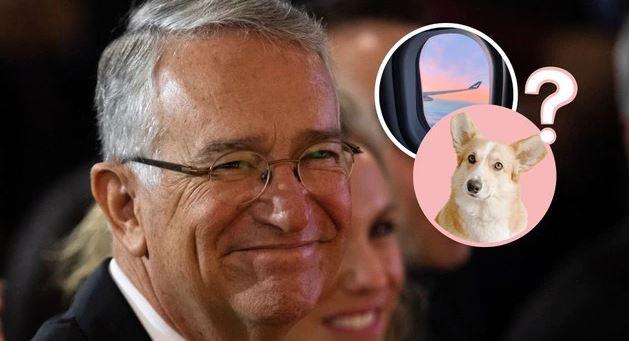 Salinas Pliego humilla a internauta: “mi perrita ha viajado más que usted”