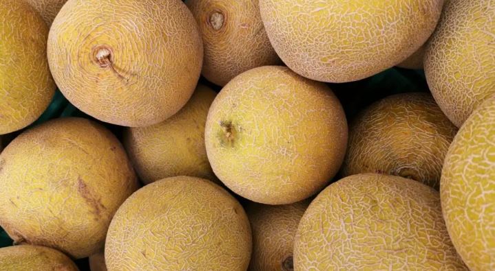 Cierran procesadora de Sonora vinculada con melones contaminados con salmonella