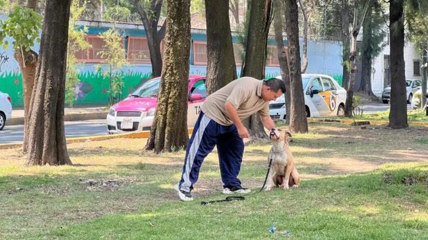 CDMX: Taxista rescata perros callejeros desde hace 15 años para buscarles hogar
