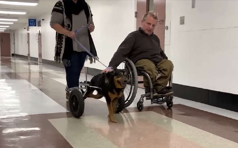 Hombre con discapacidad adopta a perrito en silla de ruedas que fue rechazado