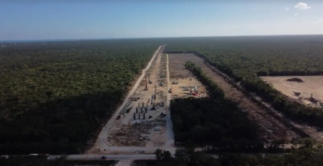 Ambientalistas denuncian que van 10 millones de árboles removidos por Tren Maya