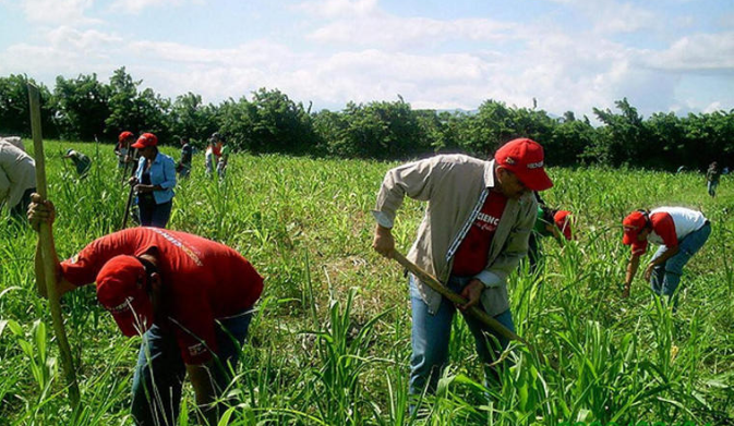 Agricultores van por cooperativas para crear empleos para mexicanos deportados