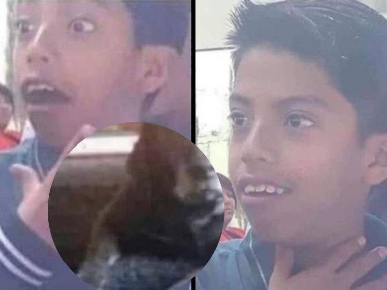 ¿Perro o niño? El extraño reto visual que se ha viralizado en redes