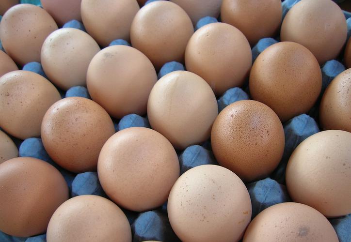 Comer huevo previene la pérdida de memoria, según un estudio