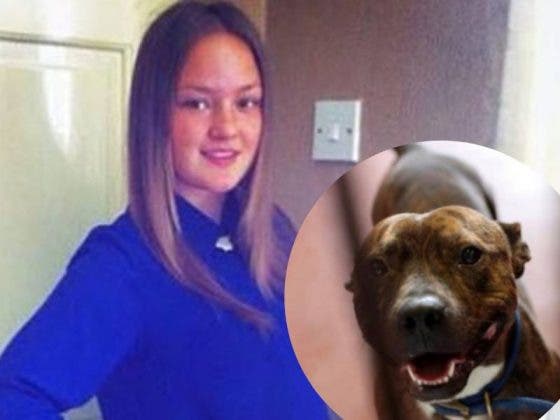Muere rescata a un  perro que la ataca y la mata en Reino Unido