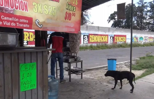 Taqueros en Puebla están en crisis en ventas por mala fama de "La Mataperros"