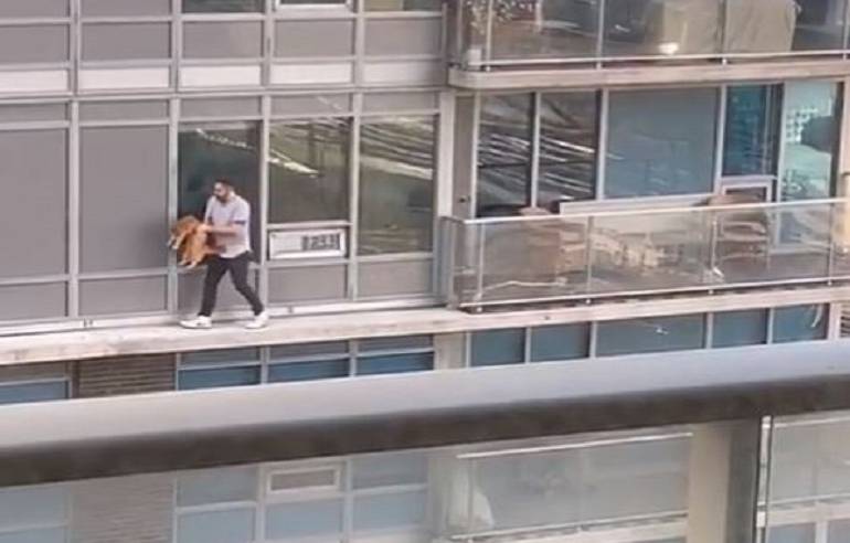 VIDEO: Hombre arriesga su vida caminando por la cornisa de su edificio para rescatar a su gato