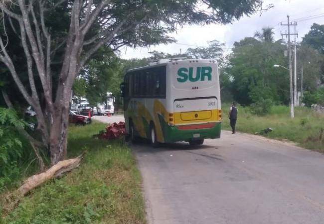 Yucatán: Fallece repartidor de botanas al chocar contra un autobús en Muna
