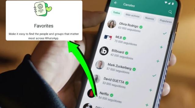 WhatsApp lanza nueva función “Favoritos”, así se activa