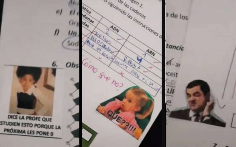 "La mejor profe": Maestra califica a sus alumnos con memes