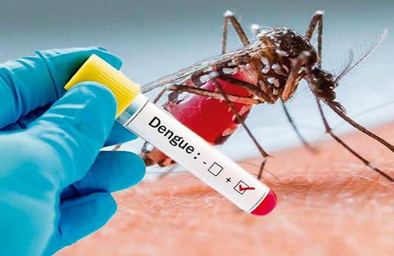 Alertan por 'mega epidemia' de dengue en el mundo