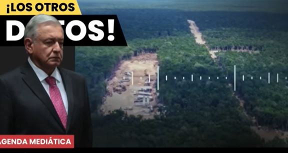 Gobierno de AMLO derribará un millón más de árboles para aeropuerto de Tulum