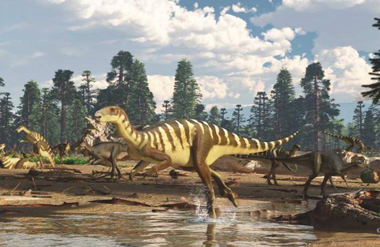 Descubren una nueva especie de dinosaurio en Australia