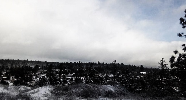 Primera tormenta invernal con heladas en dos  estados