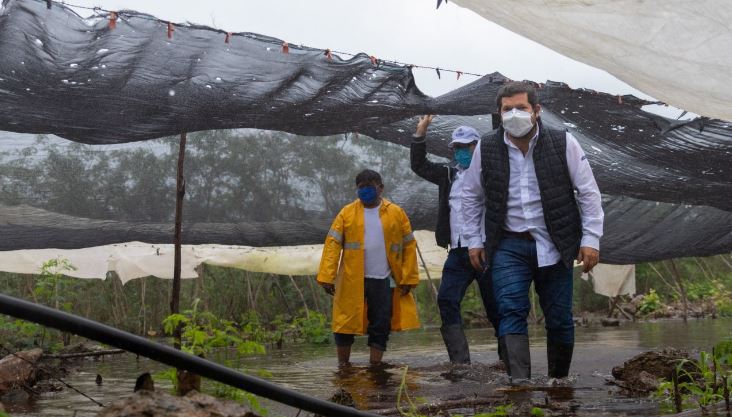 Yucatán: Autoridades y productores recorren cultivos afectados por fuertes lluvias